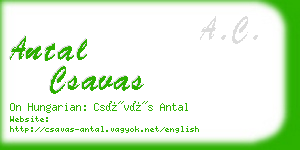 antal csavas business card